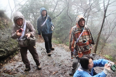 雨の同行者
