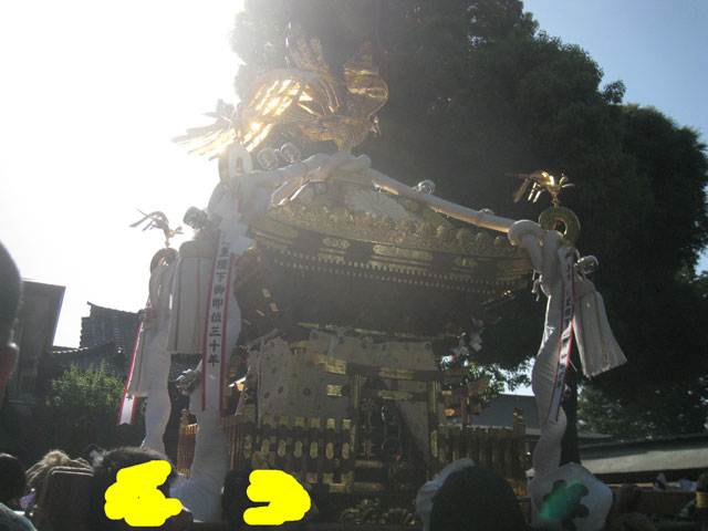 府中暗闇祭朝神輿