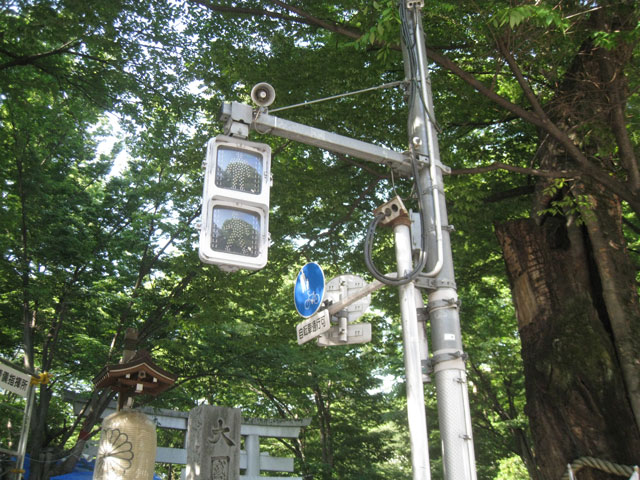 信号