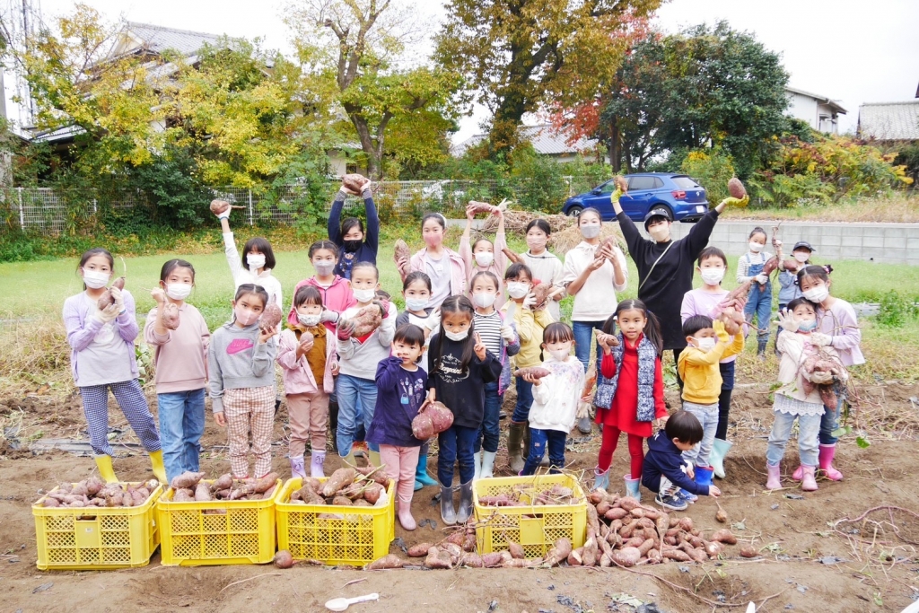 福岡市中央区大名近くのバレエ教室古森バレエの子供達が西区春日ファームで芋掘りをする画像