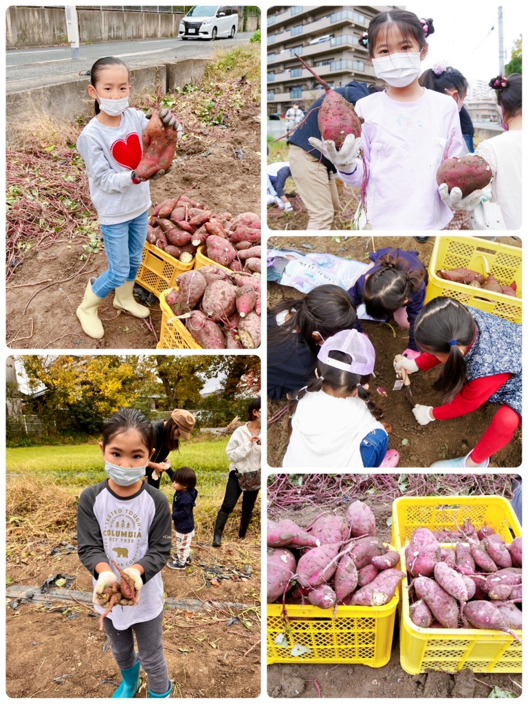 福岡市中央区大名近くのバレエ教室古森バレエの子供達が西区春日ファームで芋掘りをする画像