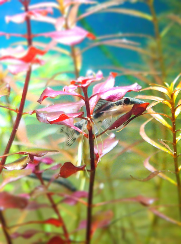 P9262251.jpg