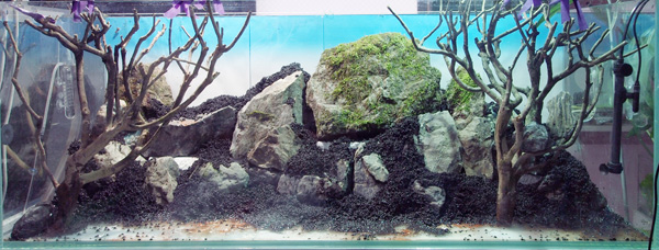 PA062905.jpg