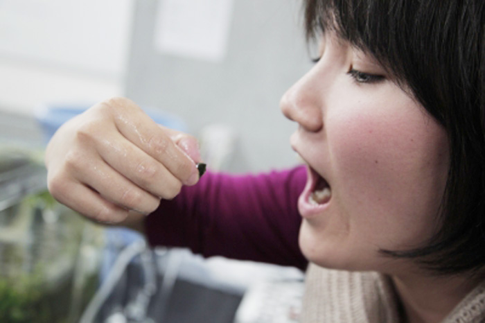 20101202_728974.jpg