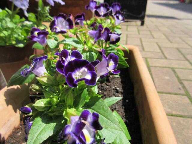20150426_023252.jpg