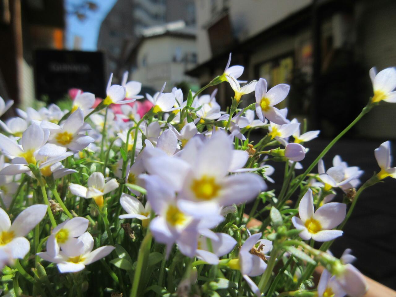 20150426_024458.jpg