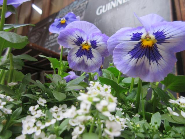 20150426_024420.jpg