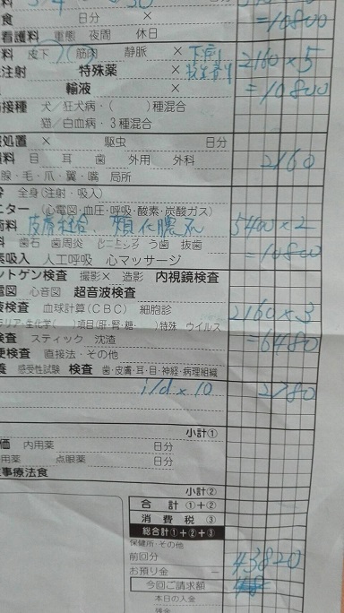 明細書