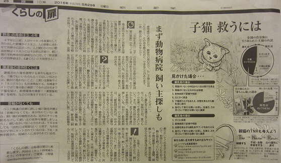 新聞