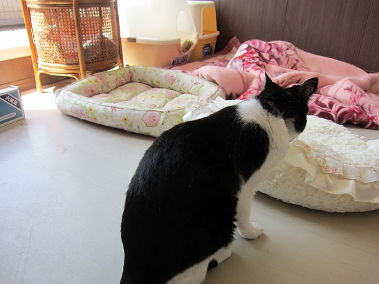 部屋
