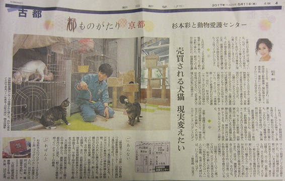 新聞