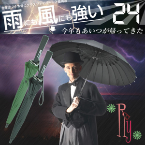 24本傘タイフーンRAY