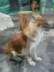 zoo30
