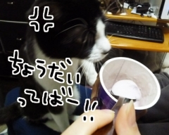 585