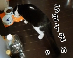 586