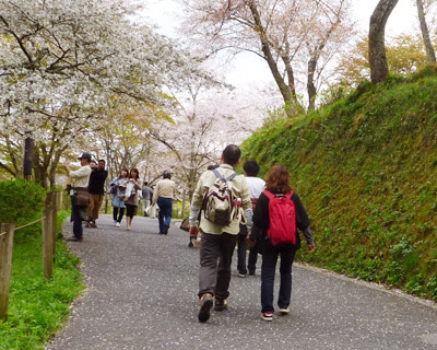 yoshino2