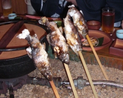 yoshino12