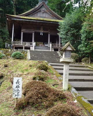 yoshino19