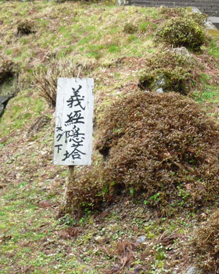 yoshino20