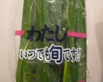 negi2
