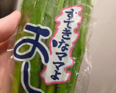 negi3