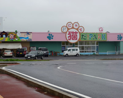 nyanda1.jpg