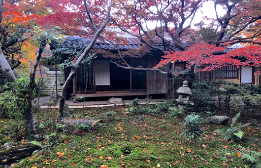 後鳥羽院と菊一文字6~藤原定家と小倉百人一首と | 長崎 後鳥羽院と菊一文字6~藤原定家と小倉百人一首と | 長崎