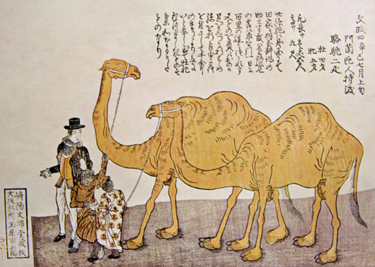 1542 中国美術 りゅうきんらくだ 流金駱駝 金メッキ ラクダ 奮門開拓　2客 1542 中国美術 りゅうきんらくだ 流金駱駝 金メッキ ラクダ 奮門開拓 2