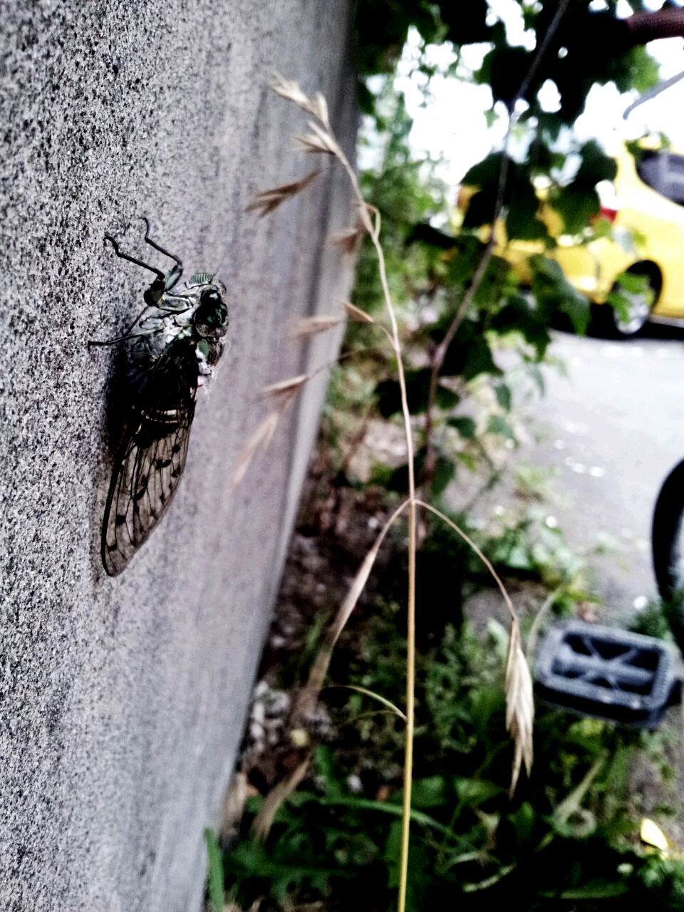 2012-09-09 18.02.35.jpg