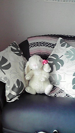 2011011311000000.jpg