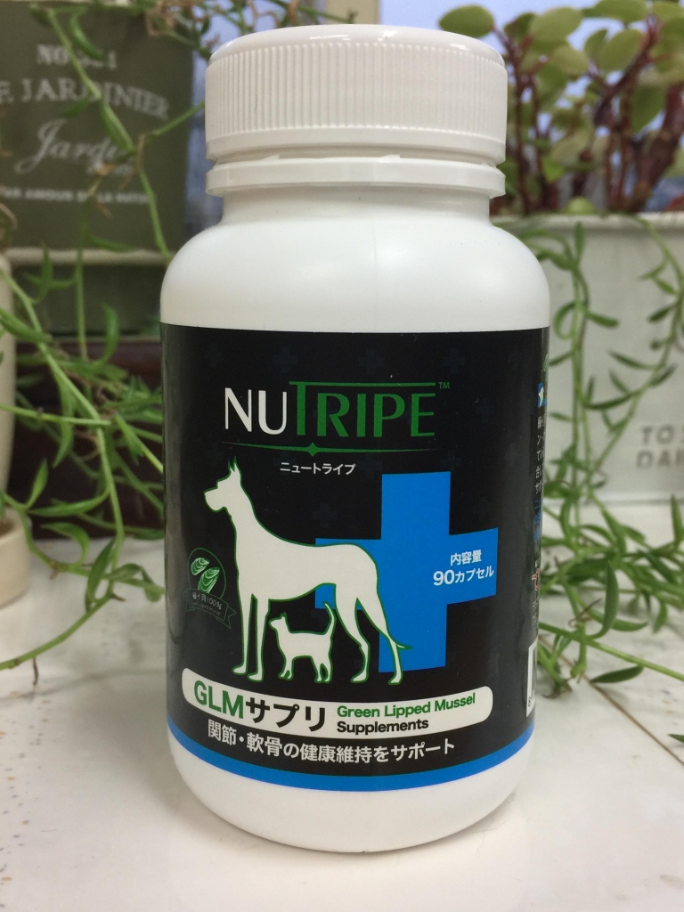 犬のサプリメント「GLMサプリ」緑イ貝100%使用