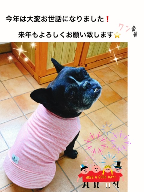 フレンチブルドック ブリンドル 画像