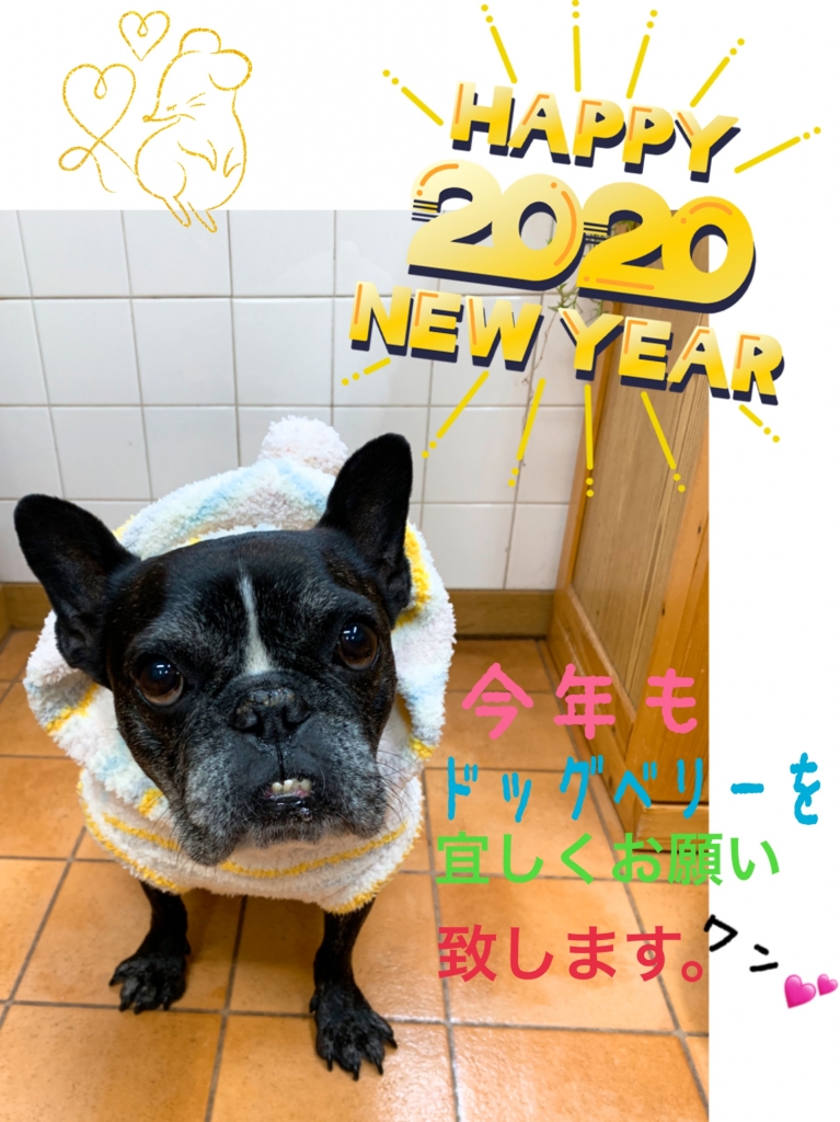 フレンチブルドック ブリンドルの画像