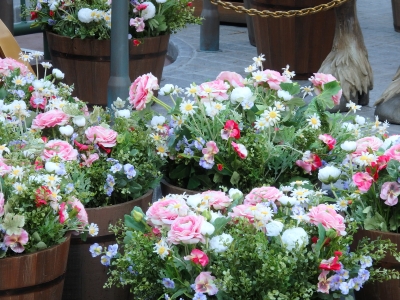 足元のお花がきれいでした