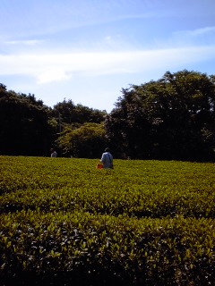 120429_0918~01.jpg