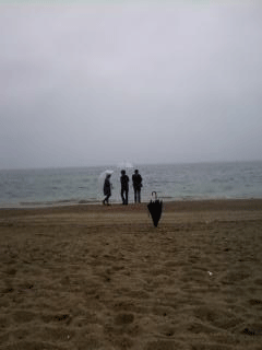 0013.gif