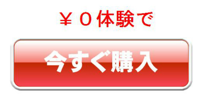 1今すぐ購入.jpg