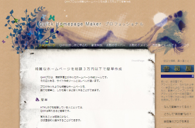 QHMPro