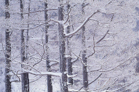 雪山