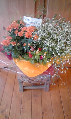 100926_1410~01.jpg