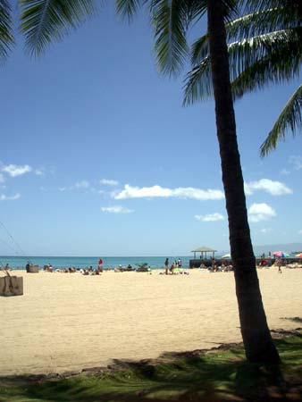 waikikibeach