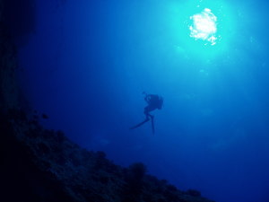 ヤギ島-image-