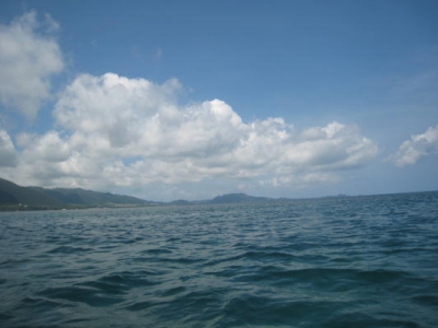 海