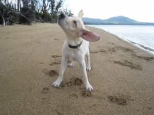 ララ
