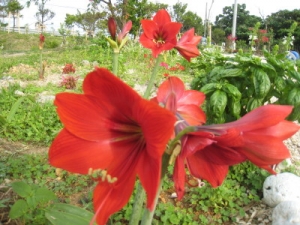 花