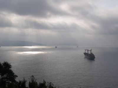 P8265323.JPG