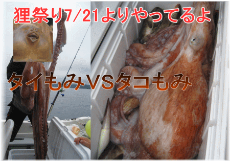 巨大マダコ
