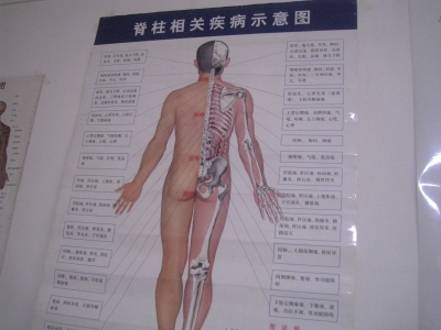 身体図