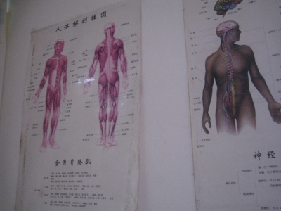 身体図1