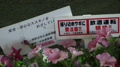 すすきの花壇